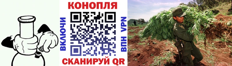 Купить где  Нижневартовск  Бошки Шишки MAZAR 